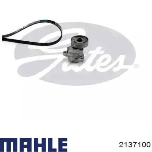 Купить 2137100 Mahle Original 