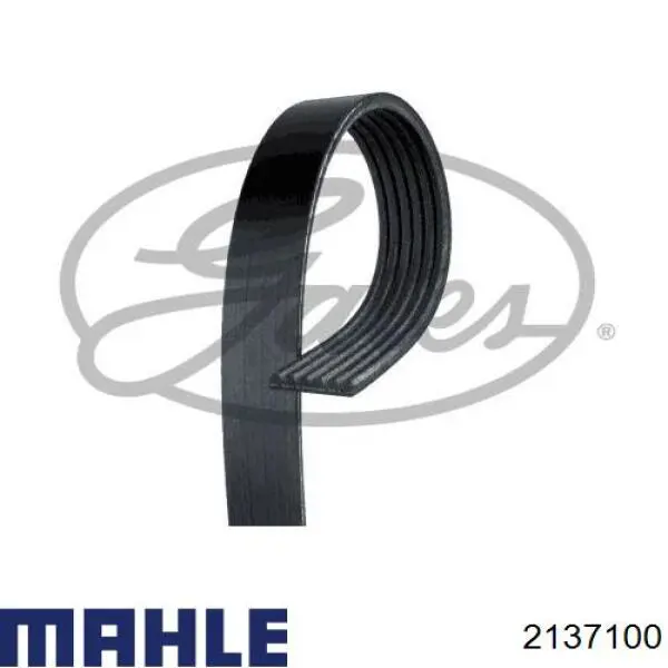  2137100 Mahle Original