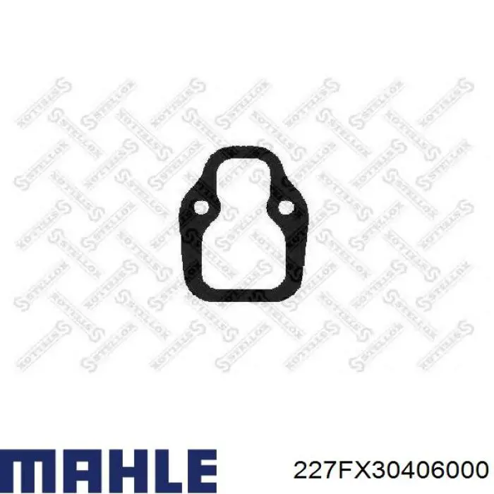 Направляющая клапана Mahle Original 227FX30406000