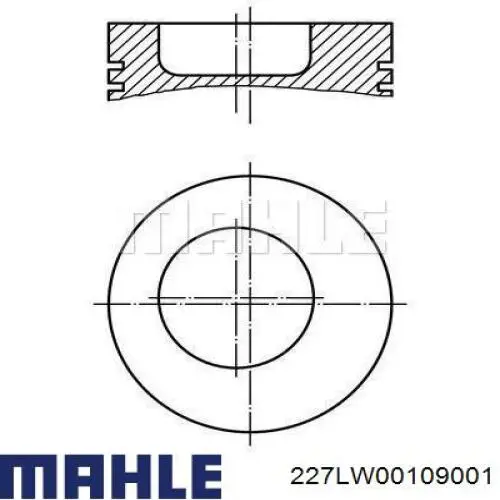  227LW00109001 Mahle Original