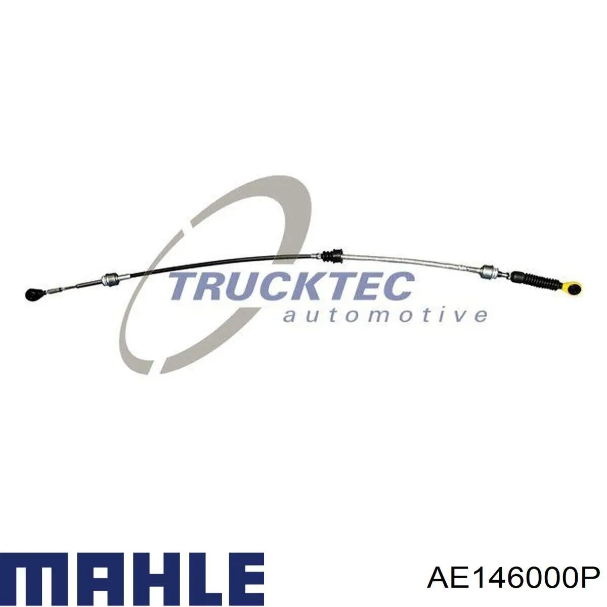 Радиатор испарителя кондиционера Thermotec KTT150031 цена, от 89.97 USD