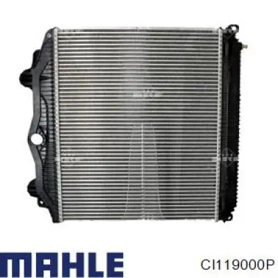 CI119000P Mahle Original