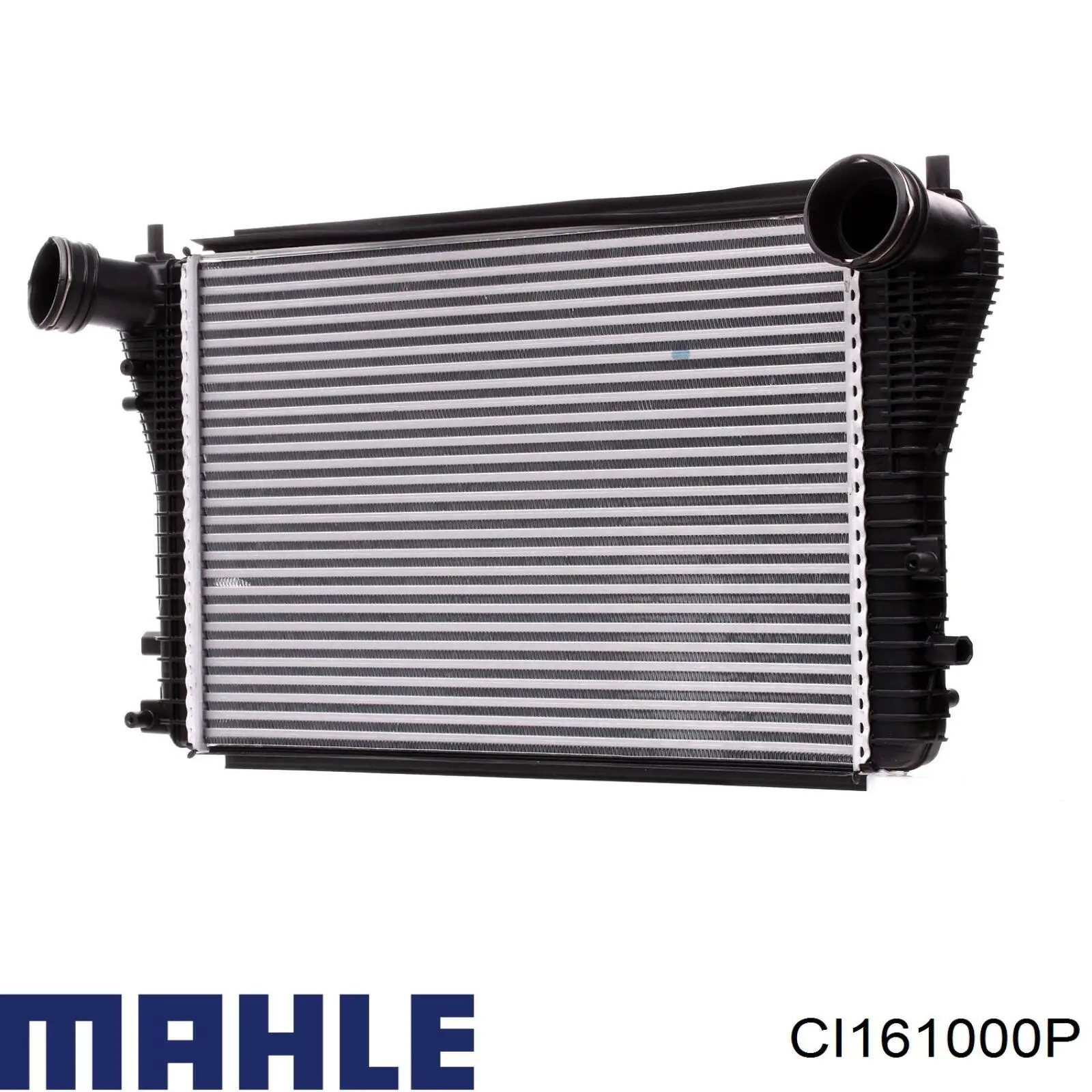  CI161000P Mahle Original