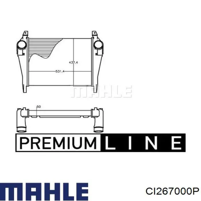  CI267000P Mahle Original