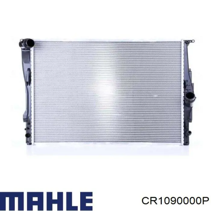 CR1090000P Mahle Original