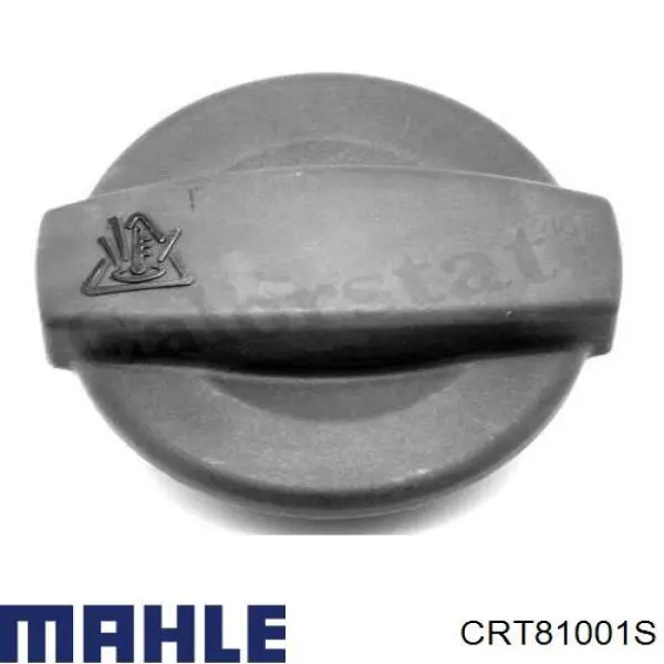 CRT81001S Mahle Original
