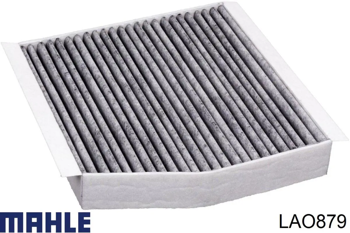 LAO879 Mahle Original