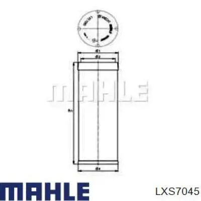 Фильтр воздушный насоса подачи вторичного воздуха Mahle Original LXS7045