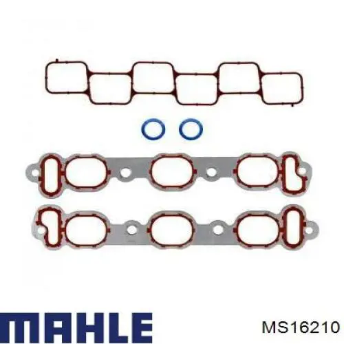 Прокладка впускного коллектора нижняя MS16210 Mahle Original