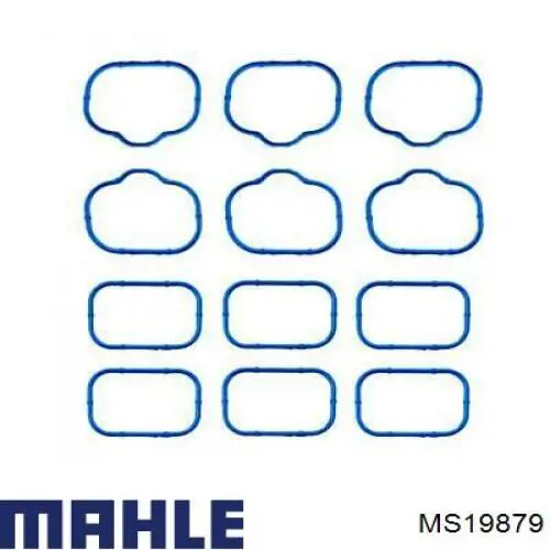 Прокладка впускного коллектора Mahle Original MS19879
