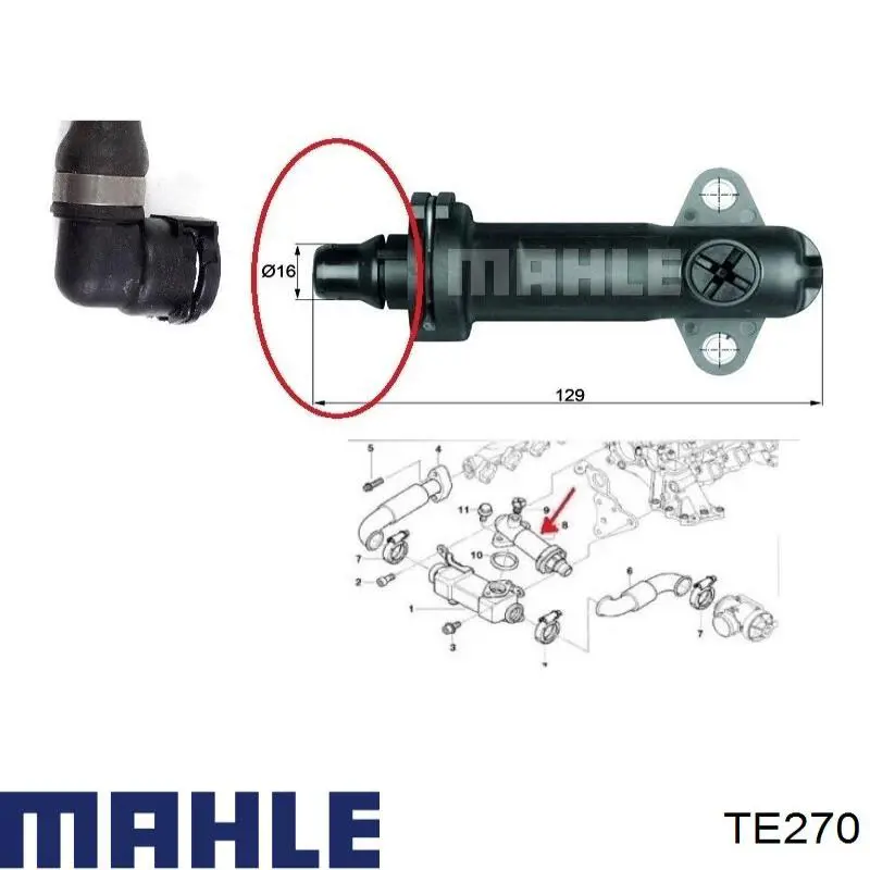 Купить TE270 Mahle Original Термостат системы EGR