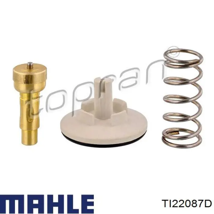 TI22087D Mahle Original