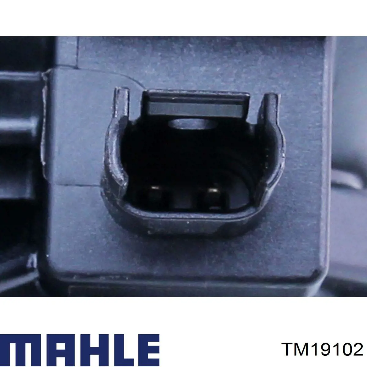 Termostato, refrigerante TM19102 Mahle Original