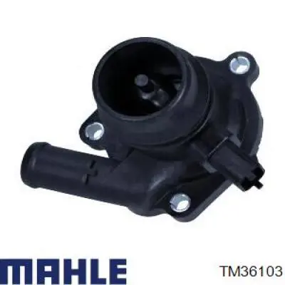 Купить TM36103 Mahle Original Автомобильный термостат