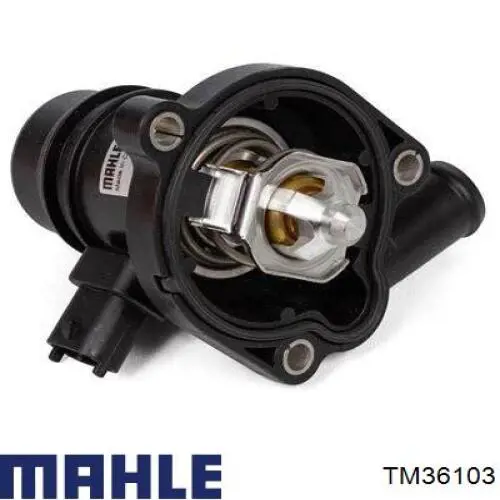 TM 36 103 Mahle Original термостат