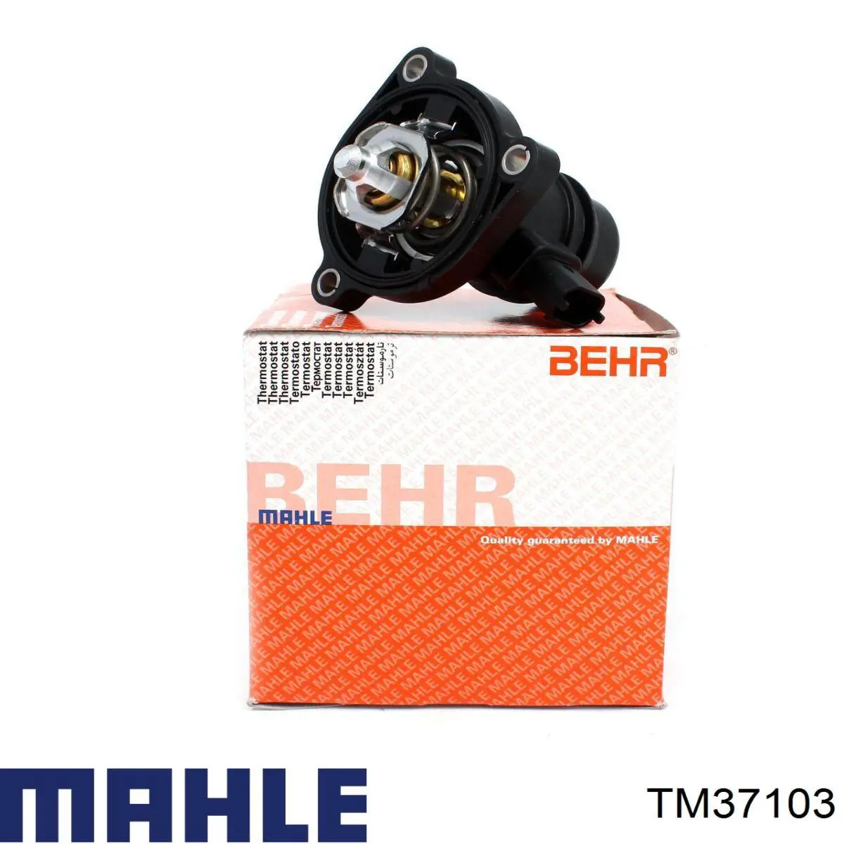 TM37103 Mahle Original