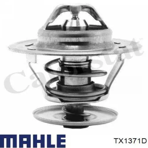 TX 13 71D Mahle Original термостат