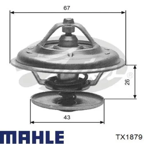 TX1879 Mahle Original термостат