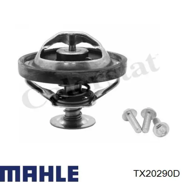 TX 202 90D Mahle Original termostato