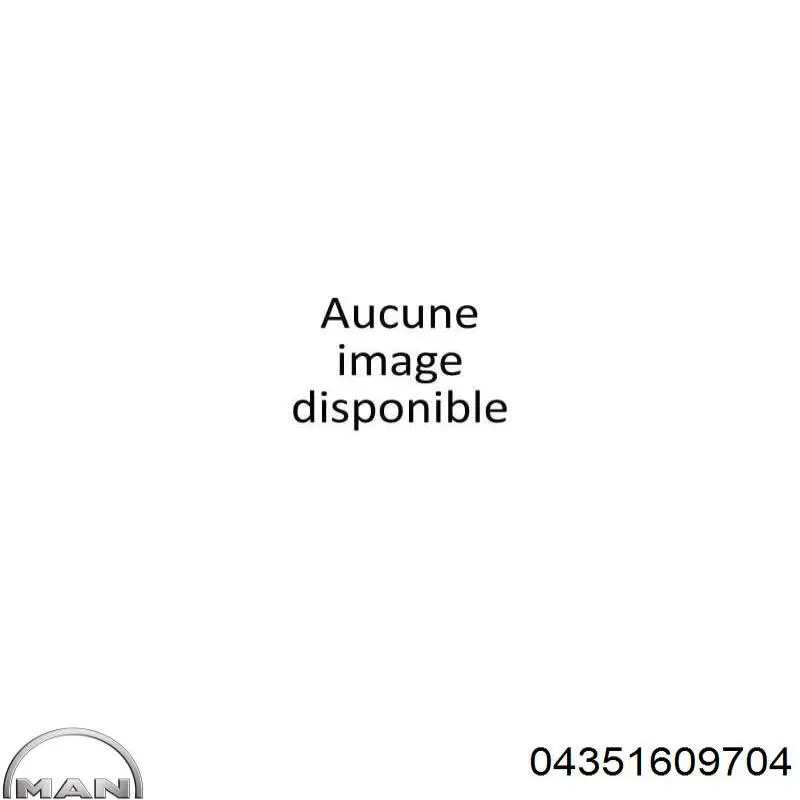 MAN 04351609704 цена, от 0.71 USD