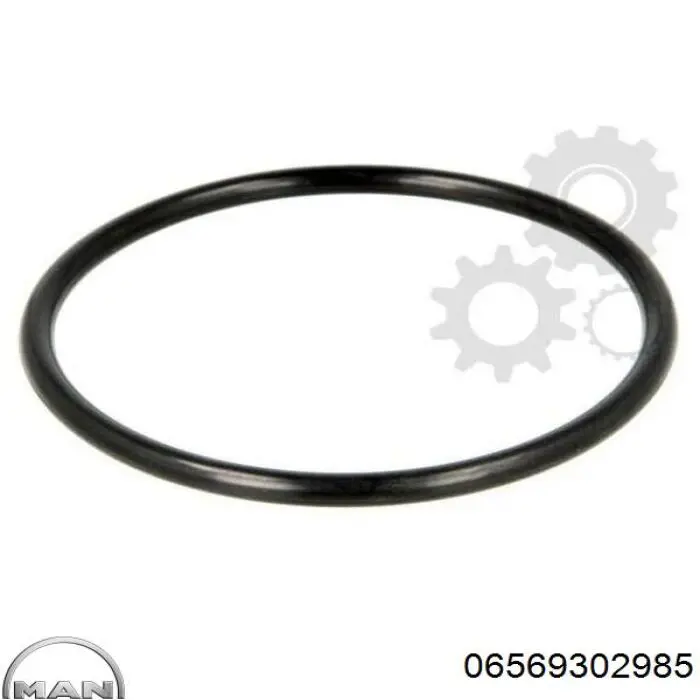 Купить 06569302985 MAN Уплотнительное кольцо, универсальное