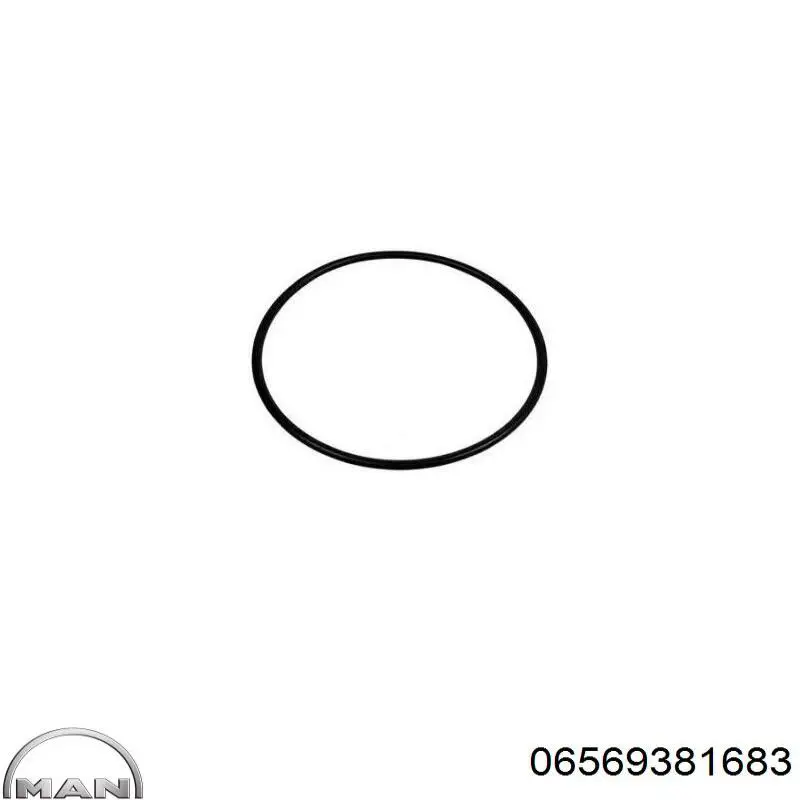Купить 06569381683 MAN Уплотнительное кольцо, универсальное