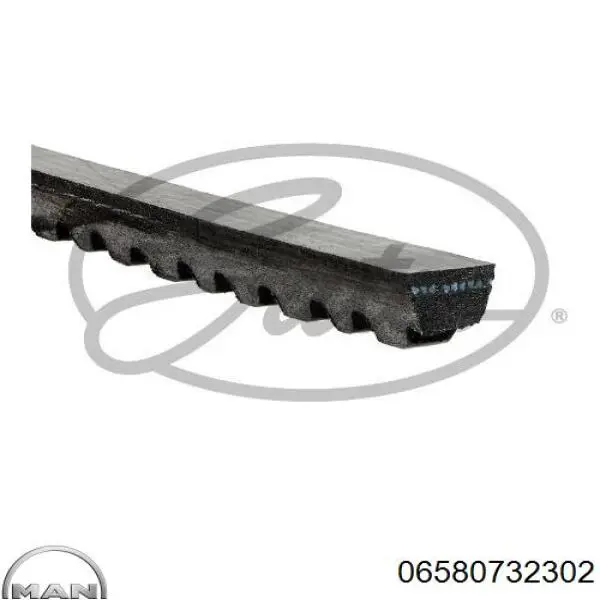 06580732302 MAN Поликлиновый ремень
