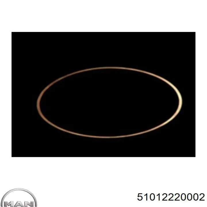 Кольцо уплотнительное под гильзу двигателя MAN 51012220002 цена, от 5.23 USD