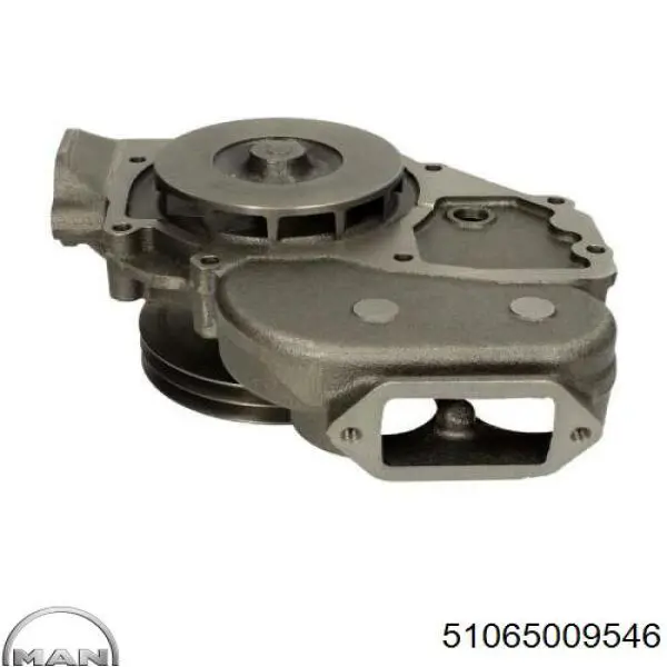Помпа RDMN110 Rider