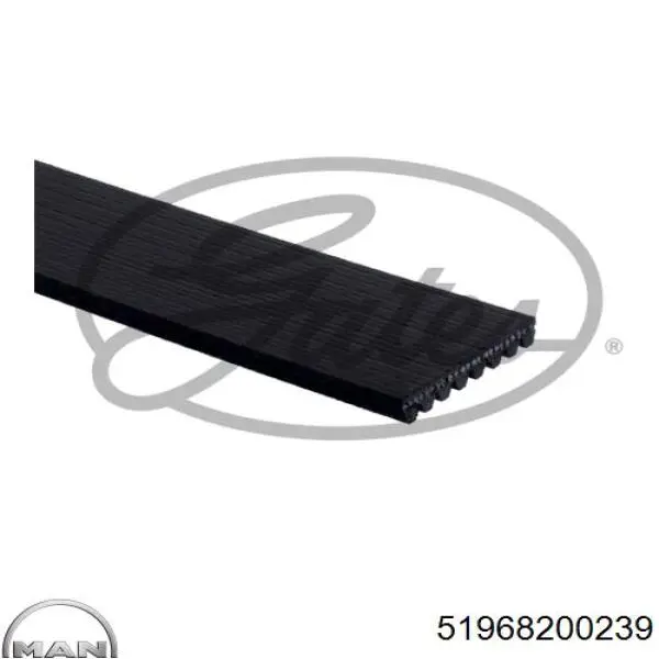 Клиновый ремень MAN 51968200239 цена, от 13.21 USD
