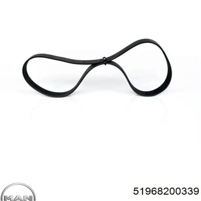Клиновый ремень MAN 51968200339 цена, от 29.65 USD