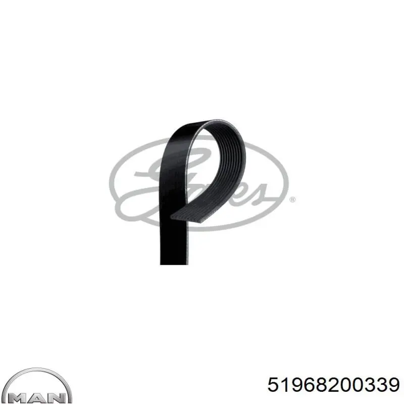 51968200339 MAN Поликлиновый ремень