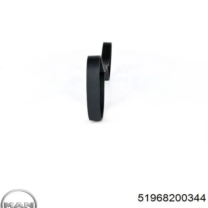 51968200344 MAN Поликлиновый ремень