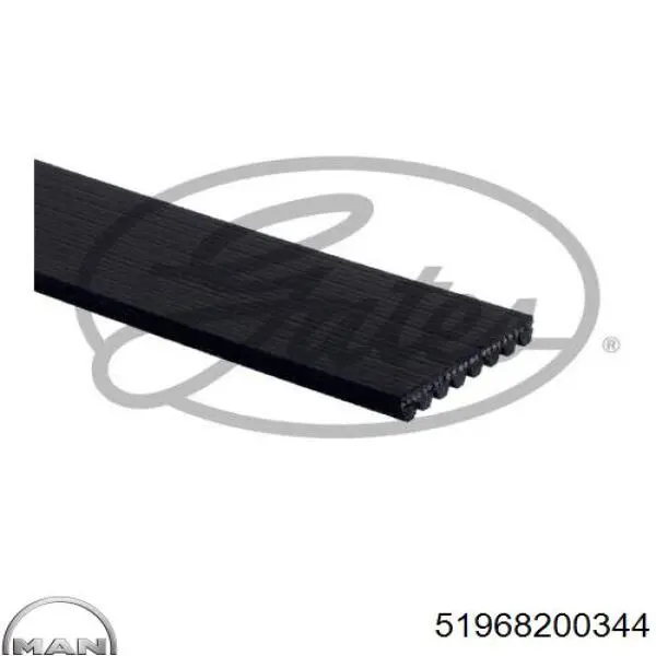 Клиновый ремень MAN 51968200344 цена, от 10.81 USD