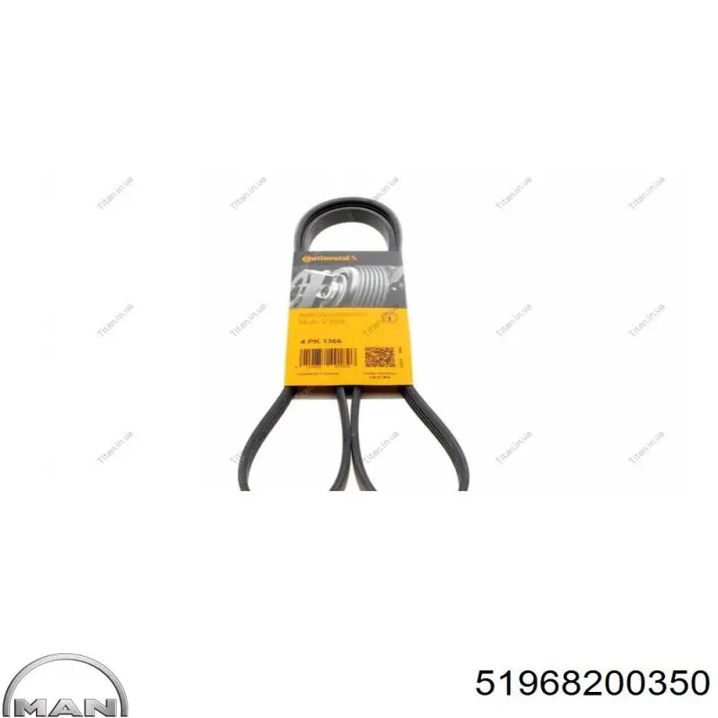 Купить DA8Z8620H Ford Ремень генератора
