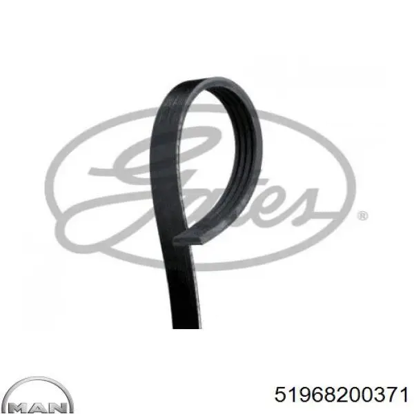 Клиновый ремень Gates 4PK1389HD цена, от 12.83 USD