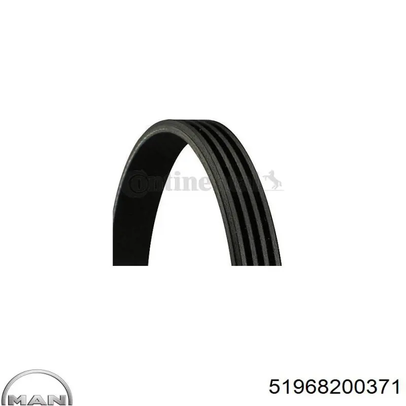 Клиновый ремень MAN 51968200371 цена, от 12.88 USD