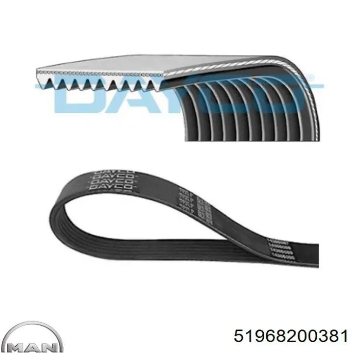 Клиновый ремень Continental/Siemens 10PK1705 цена, от 21.21 USD