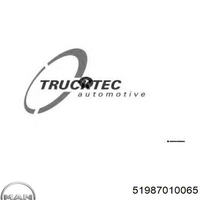 Купить 51987010065 MAN Кольцо инжектора