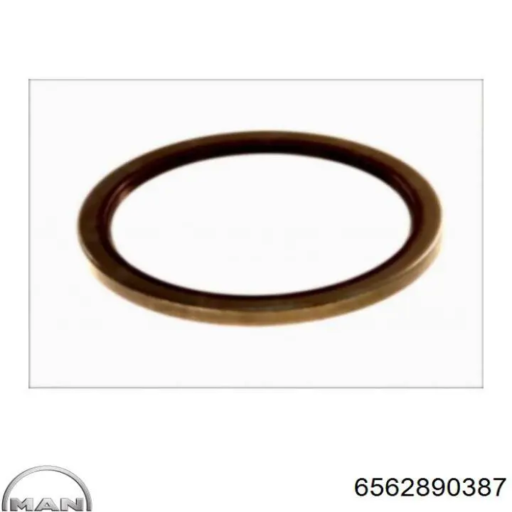 Сальник задней ступицы MAN 6562890387 цена, от 18.05 USD