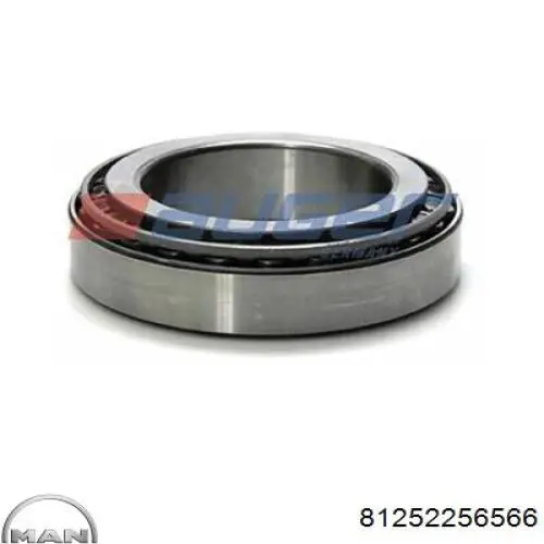 Стекло фонаря заднего левого TP0257011B Tempest