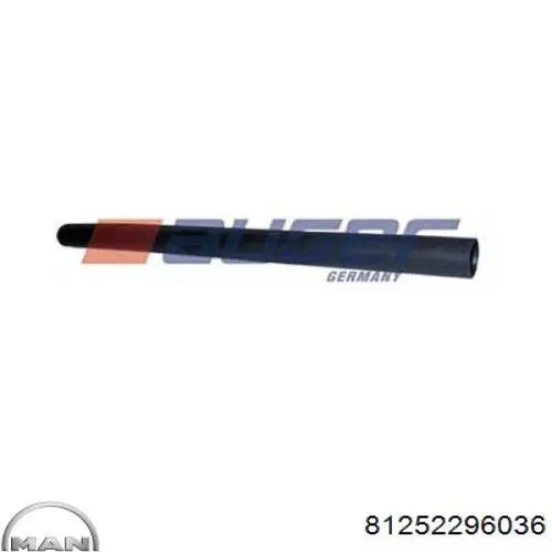 Купить 81252296036 MAN Стекло фонаря заднего