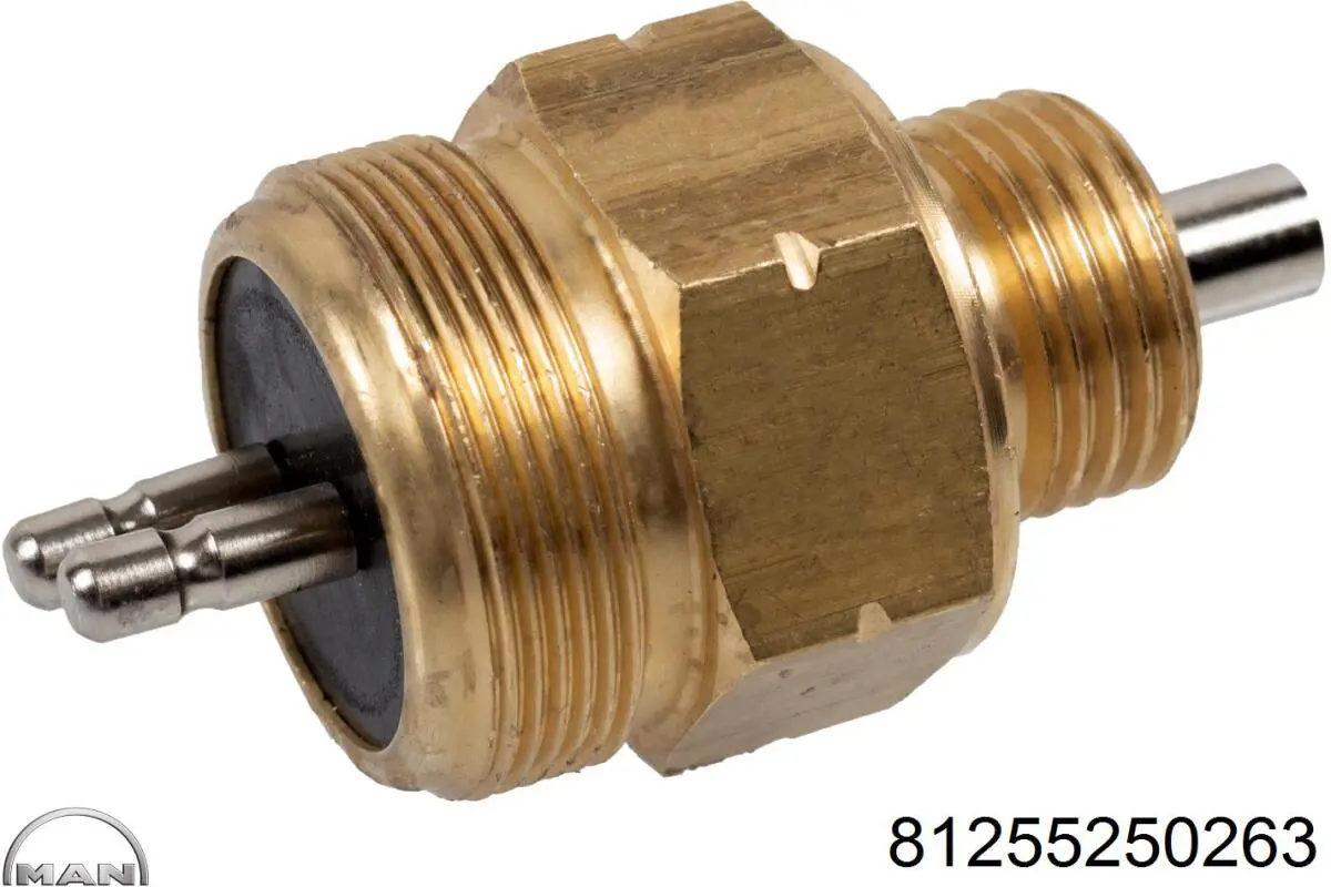 Включатель фонарей заднего хода MAN 81255250263 цена, от 15.27 USD