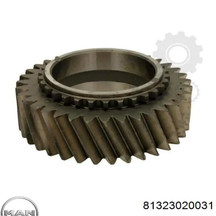 145554 C.e.i. 