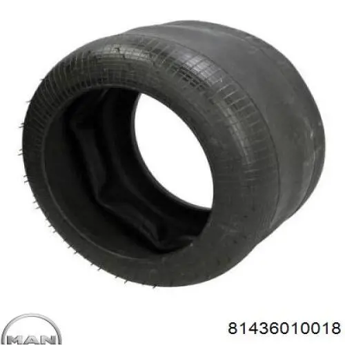 Рессора пневматической подвески MAN 81436010018 цена, от 40.80 USD