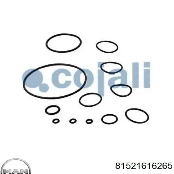 Ремкомплект главного тормозного крана MAN 81521616265 цена, от 28.88 USD