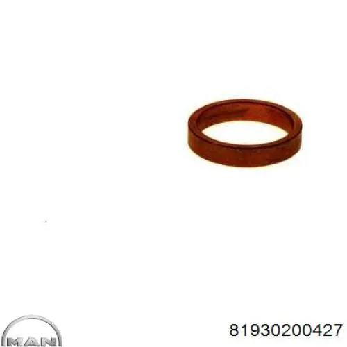 81930200427 MAN Втулки стартера