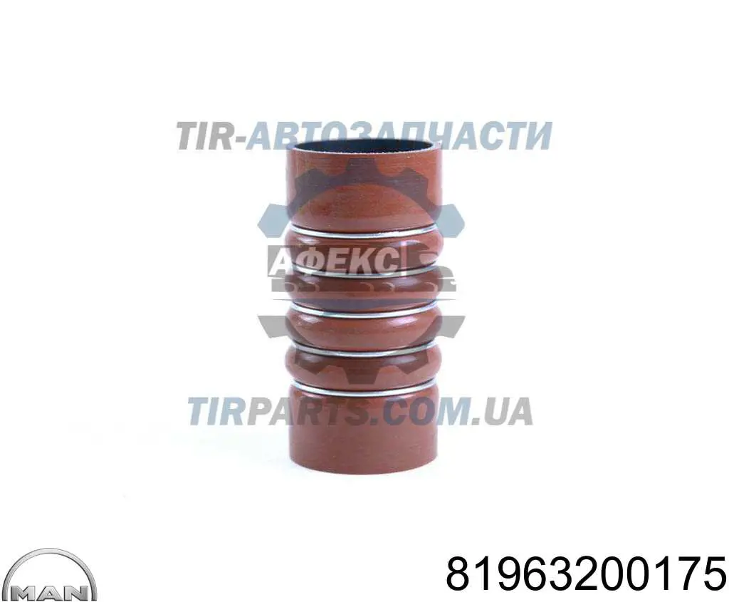 81963200175 MAN Патрубок интеркуллера