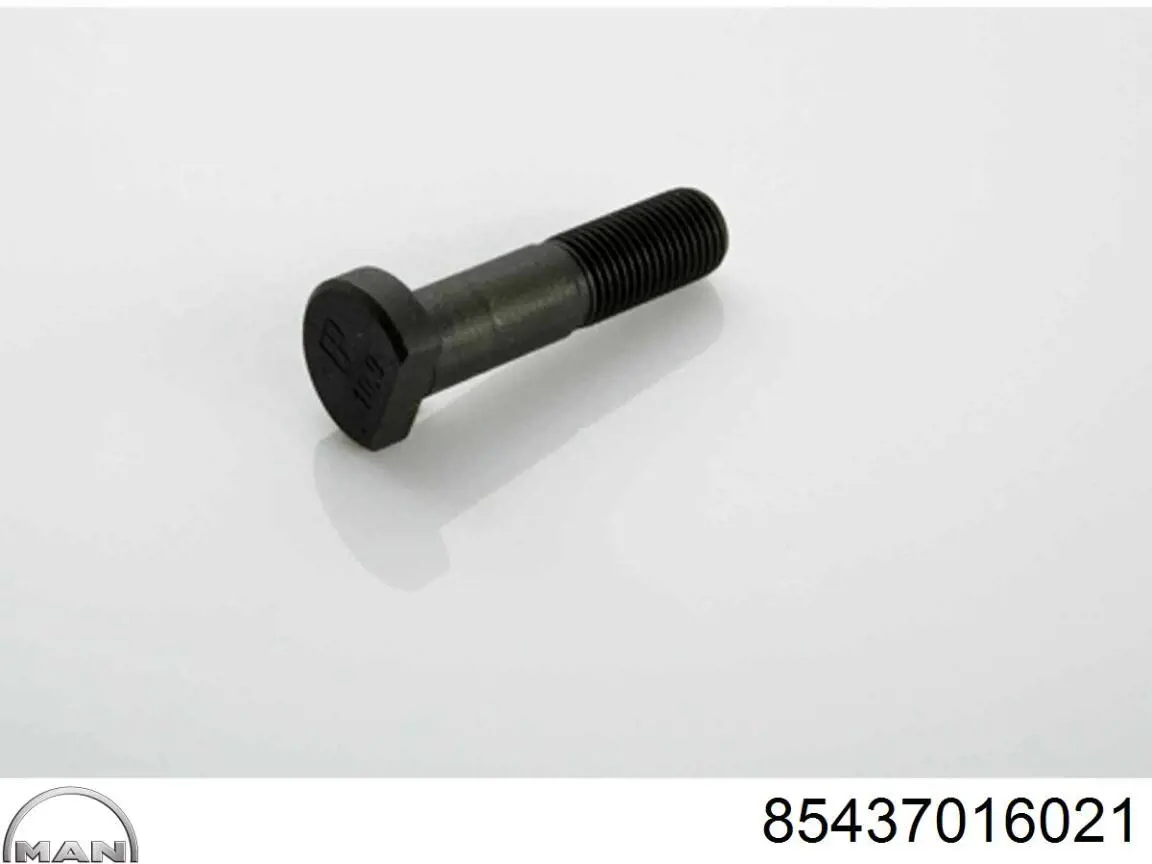 Стойка амортизатора передняя MAN 85437016021 цена, от 137.27 USD