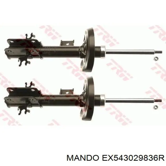 EX543029836R Mando amortecedor dianteiro direito